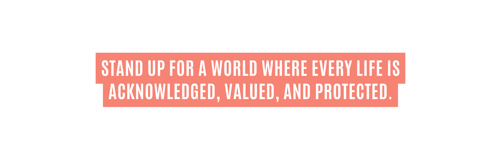 STAND UP FOR A WORLD WHERE EVERY LIFE IS ACKNOWLEDGED VALUED AND PROTECTED